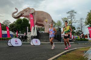 BIB: 
                            <button type="button" onclick="openModal(26528479)" class="btn btn-primary btn-sm float-right btn-popup" data-toggle="modal" data-target=".modal-high-quality">
                        <i class="fas fa-shopping-cart"></i> Add to Cart
                    </button>
                                            <button type="button" onclick="isThisMe(26528479, true)" class="btn btn-success btn-sm float-right btn-popup btn-isme hidden" data-toggle="tooltip" data-placement="bottom" title="นี่คือรูปของคุณใช่ไหม คลิกที่นี่เพื่อเอาเข้าอัลบั้ม">
                        <i class="fas fa-plus"></i> Add to album
                    </button>
                    <button type="button" onclick="isThisMe(26528479, false)" class="btn btn-warning btn-sm float-right btn-popup btn-isnotme hidden">
                        <i class="fas fa-ban"></i> Remove from album
                    </button>